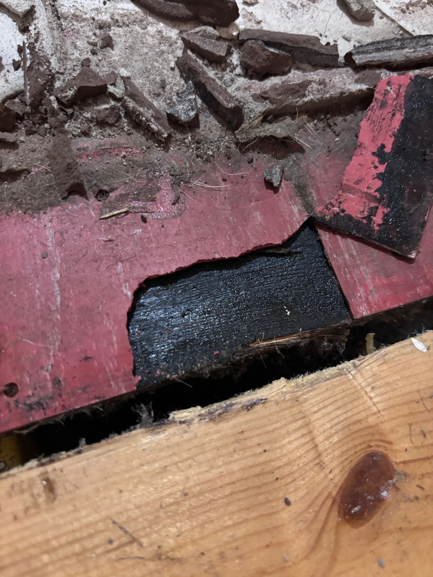 Asbestos vinyl floor tiles and bitumen adhesive removal - domestic property